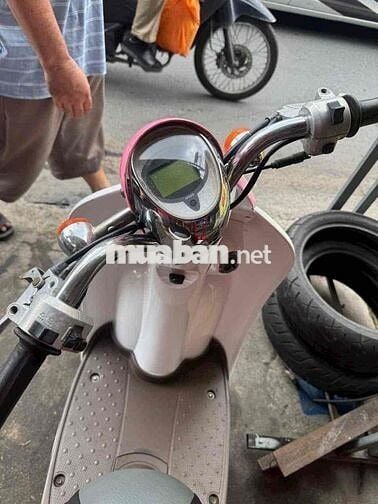 Scoopy 50cc Nội Địa Nhật