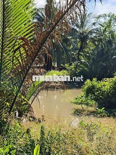 💥đất lộ nhựa  ngang 12m dài hơn 100m2 có 150 đất ở 👇