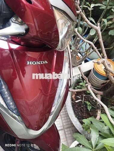 Bán hoặc Giao Lưu Air Blade