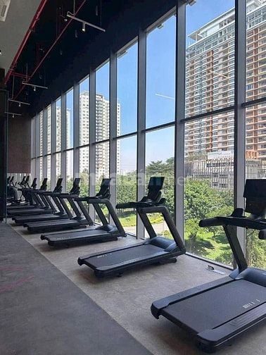 Cập nhật giỏ hàng cho thuê Căn hộ Celesta Rise giá rẻ nhất thị trường