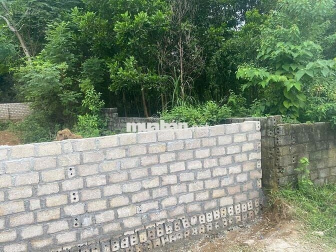 Đất đẹp Đầm Rái 278.1m² chỉ 1,3 tỷ, view thoáng mát, pháp lý rõ ràng