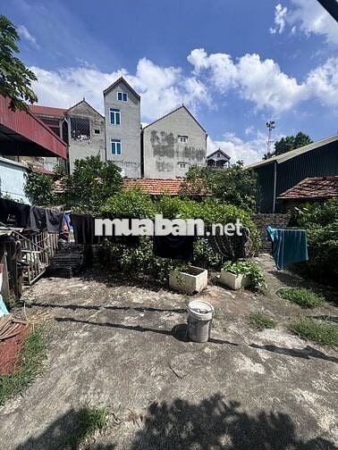 📍 Bán đất Trung Kiên – Tây Tựu, Bắc Từ Liêm – Giá 7 tỷ 3 DT 88m²,