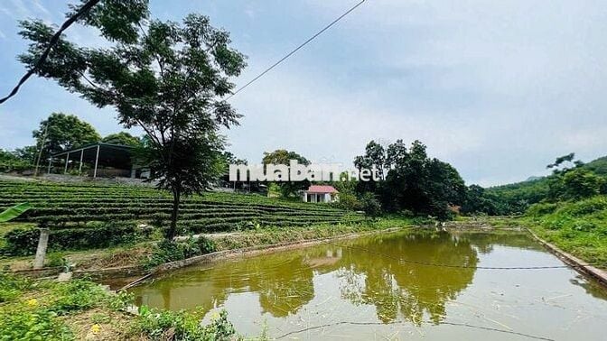 LÔ ĐẤT NGHỈ DƯỠNG, BIỆT THỰ, HÒA BÌNH 3600m2 - GIÁ ĐẦU TƯ-CÁCH HN 50KM