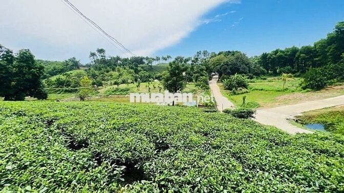 LÔ ĐẤT NGHỈ DƯỠNG, BIỆT THỰ, HÒA BÌNH 3600m2 - GIÁ ĐẦU TƯ-CÁCH HN 50KM