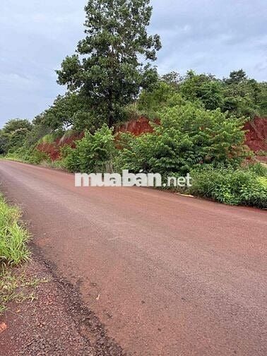 Cần bán view hồ + núi mặt tiền đường nhựa thích hợp kinh doanh