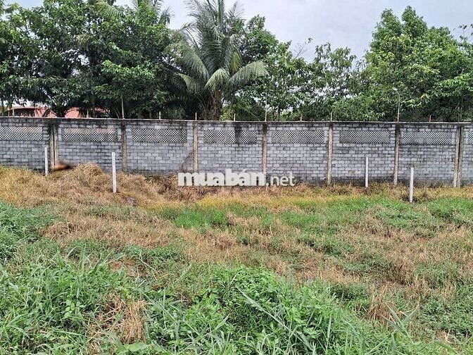 BÁN ĐẤT NỀN KHU TÁI ĐỊNH CƯ BÌNH HÒA – Giá 760 triệu–Sổ riêng 80m2 ONT