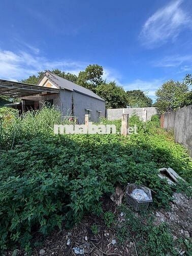 CHÍNH CHỦ NGỘP NGÂN HÀNG BÁN GẤP LÔ ĐẤT ĐẸP PHƯỜNG TAM LONG TP HCM