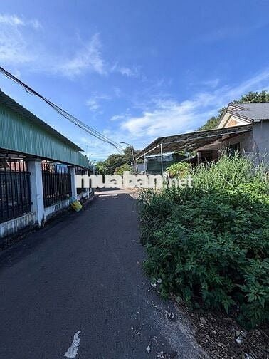 CHÍNH CHỦ NGỘP NGÂN HÀNG BÁN GẤP LÔ ĐẤT ĐẸP PHƯỜNG TAM LONG TP HCM