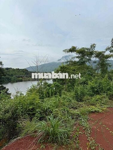 Cần bán view hồ + núi mặt tiền đường nhựa thích hợp kinh doanh