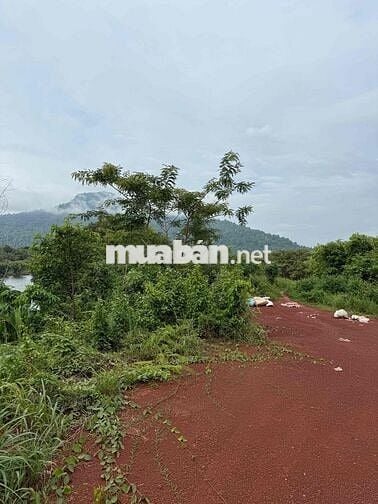 Cần bán view hồ + núi mặt tiền đường nhựa thích hợp kinh doanh