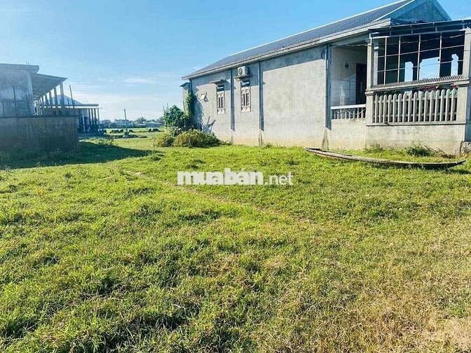 MẶT TIỀN 16M, GIÁ 950T, CÓ NGAY LÔ ĐẤT GẦN KCN TỨ HẠ.