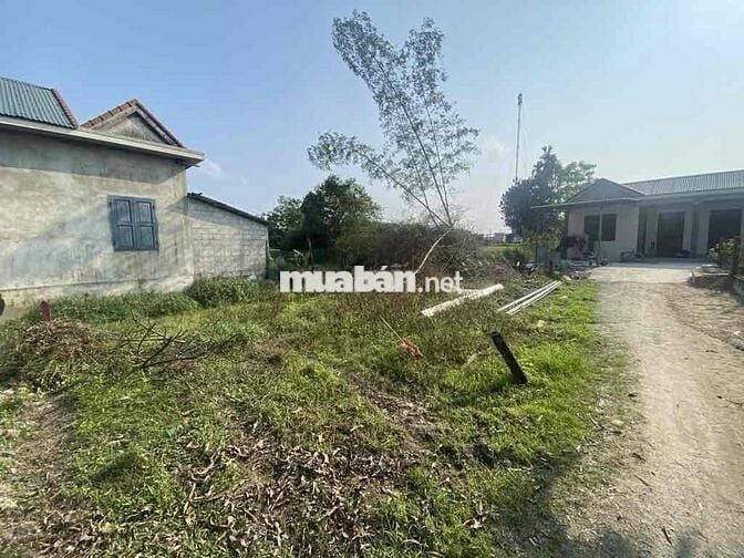 MẶT TIỀN 16M, GIÁ 950T, CÓ NGAY LÔ ĐẤT GẦN KCN TỨ HẠ.