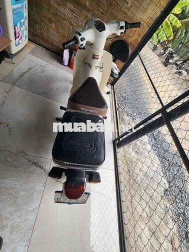 Bán xe cup 50 đời 2022