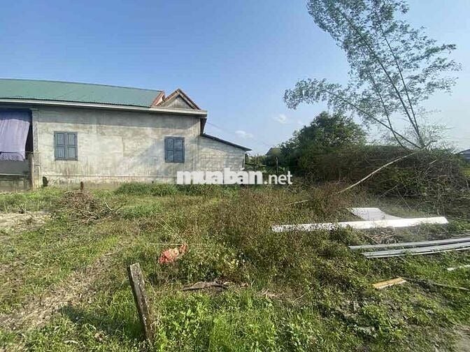 MẶT TIỀN 16M, GIÁ 950T, CÓ NGAY LÔ ĐẤT GẦN KCN TỨ HẠ.