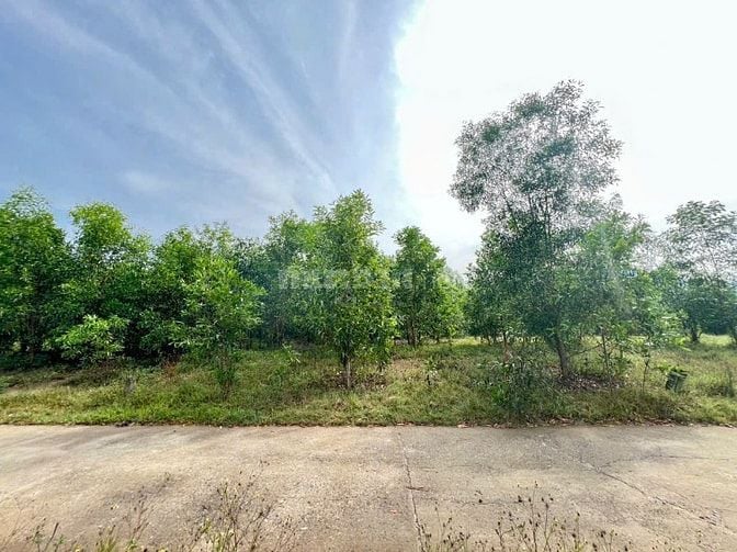 ĐẤT VƯỜN DIÊN LÂM MỚI ( DIÊN XUÂN CŨ) 1005M 4XX