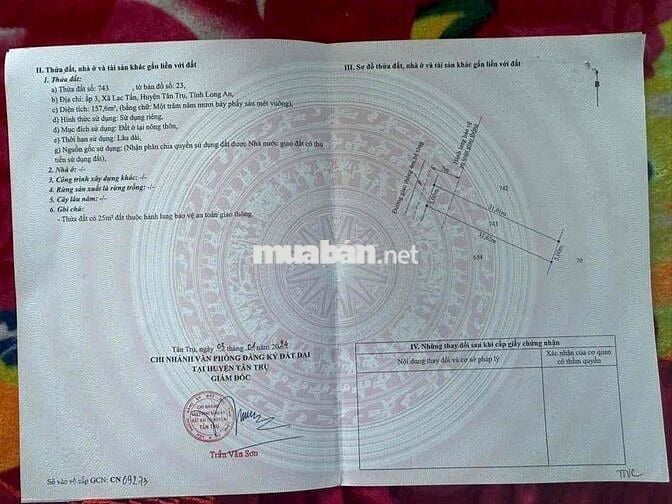 cần bán đất thổ tại Lạc Tấn, Tân Trụ, Long An dt 157,6m2 nền cao