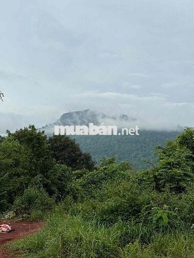 Cần bán view hồ + núi mặt tiền đường nhựa thích hợp kinh doanh