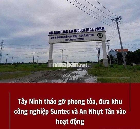 ngay kcn An Nhụt Tân , đối diện khu tái định cư  DT 118 m2 thổ cư rẻ