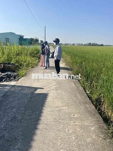 cần bán đất thổ tại Lạc Tấn, Tân Trụ, Long An dt 157,6m2 nền cao