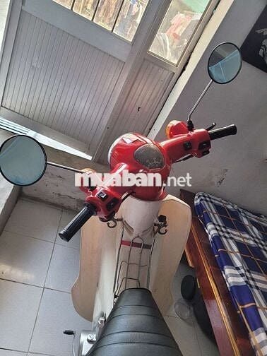 Bán xe cub học sinh