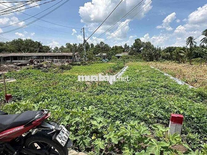 ⭐️ 5x27m thổ, mặt tiền đường bê tông 6m. Đất nền sẵn