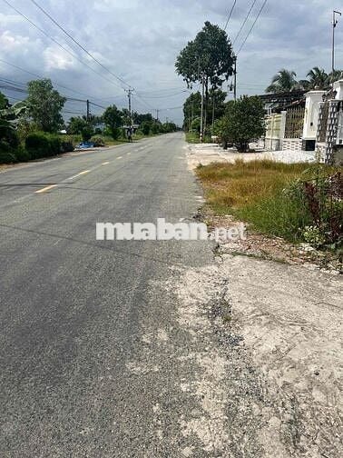 BÁN GẤP GIẢM 200 TRIỆU - 500m2  TH Ổ CƯ -XÃ BÌNH TRINH ĐÔNG - LONG AN