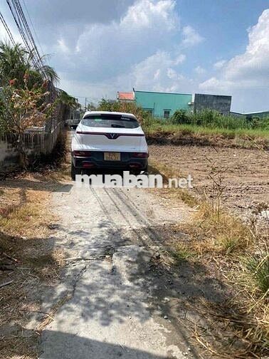 ngay kcn An Nhụt Tân , đối diện khu tái định cư  DT 118 m2 thổ cư rẻ