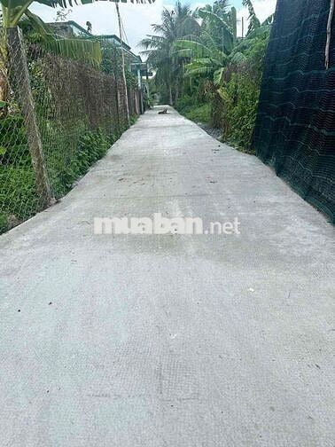 ngay kcn An Nhụt Tân , đối diện khu tái định cư  DT 118 m2 thổ cư rẻ