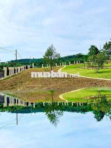 Đất thổ cư vườn 186m2 đẹp đẩy đủ tiện nghi giáp phường 1,Bảo Lộc,SHR