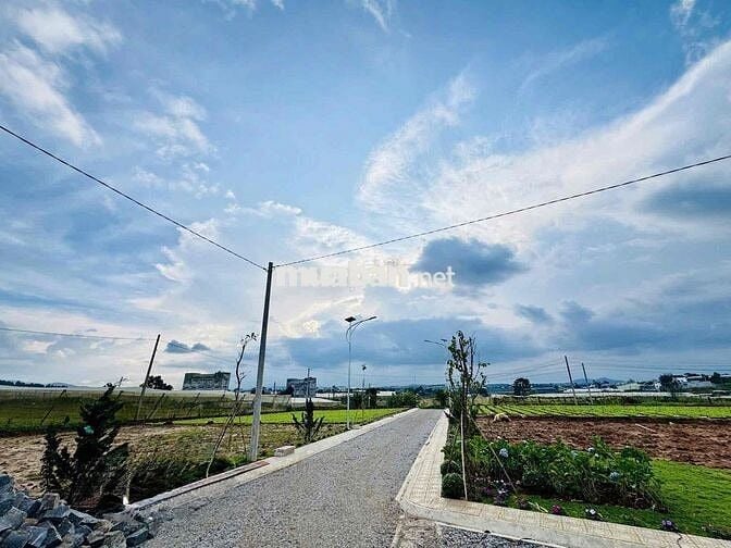 Khu dân cư Mai Anh Đào xã Đơn Dương - Lâm Đồng