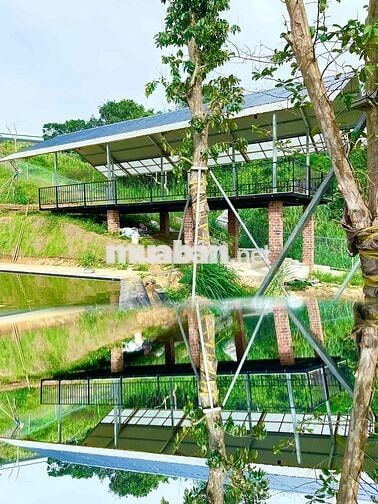 Đất thổ cư vườn 186m2 đẹp đẩy đủ tiện nghi giáp phường 1,Bảo Lộc,SHR