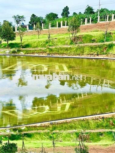 Đất thổ cư vườn 186m2 đẹp đẩy đủ tiện nghi giáp phường 1,Bảo Lộc,SHR