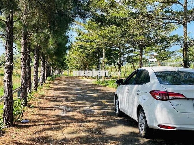 Hàng Ngộp Chủ Cần Bán Gấp Lô View Hồ Tự Nhiên Giá Xả Lỗ