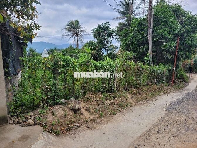 ĐẤT RẺ XÃ SUỐI CÁT, CÁCH QUỐC LỘ 1: 100m