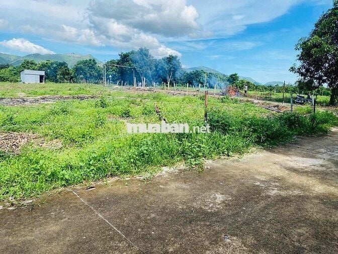 Đất Vườn Suối Cát - Cam Lam dt 945m giá chỉ 880tr, ngang 23m, có vườn