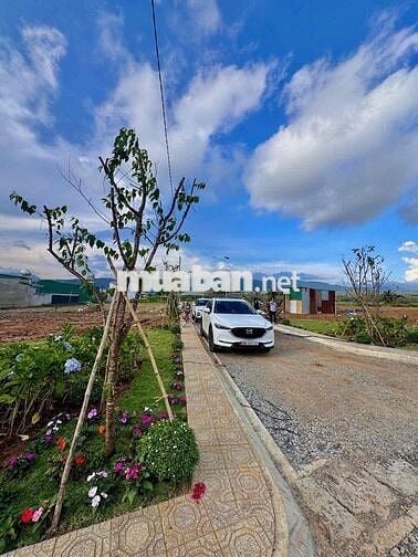 Khu dân cư Mai Anh Đào xã Đơn Dương - Lâm Đồng