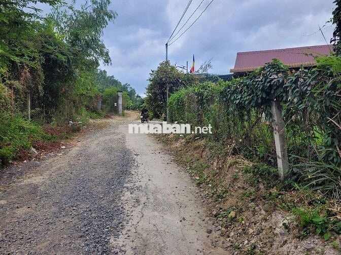 ĐẤT RẺ XÃ SUỐI CÁT, CÁCH QUỐC LỘ 1: 100m