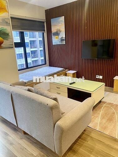 Quỹ căn cho thuê làm việc trực tiếp chủ nhà tại Vinhomes Ocean Park