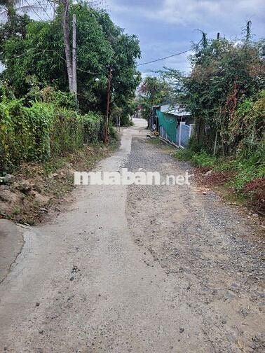 ĐẤT RẺ XÃ SUỐI CÁT, CÁCH QUỐC LỘ 1: 100m