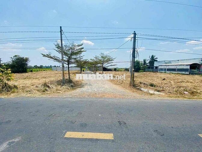 ĐẤT CHÍNH CHỦ cách QL1A 2km 125m2 785tr