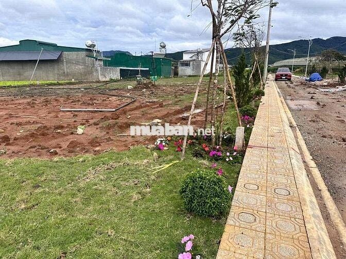 Khu dân cư Mai Anh Đào xã Đơn Dương - Lâm Đồng