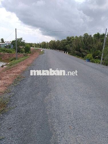 Cần bán đất trồng cây thủy sản cầu ngang, trà vinh