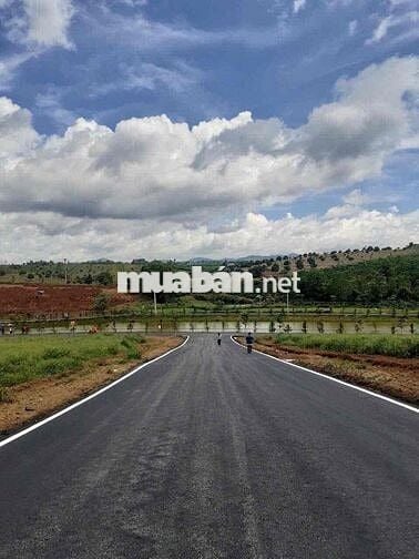 Hàng Ngộp Chủ Cần Bán Gấp Lô View Hồ Tự Nhiên Giá Xả Lỗ