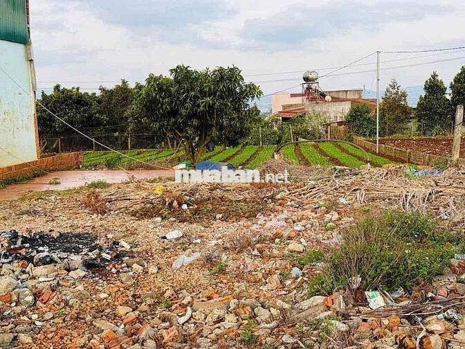 Bán đất Suối Thông B cách Đà Lạt 30km khu dân cư