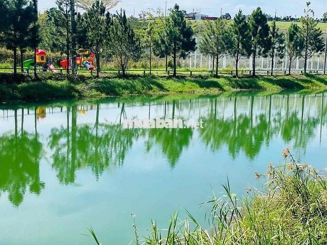 Hàng Ngộp Chủ Cần Bán Gấp Lô View Hồ Tự Nhiên Giá Xả Lỗ