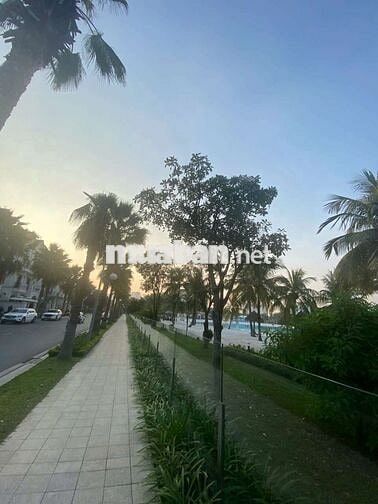 Cho thuê đơn lập Hải âu 1 297 m² giá 30 triệu Vinhomes ocean park GL