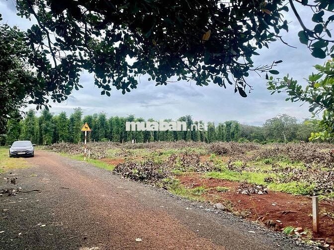 View sông Ray, 3 sào 55m đường nhựa!