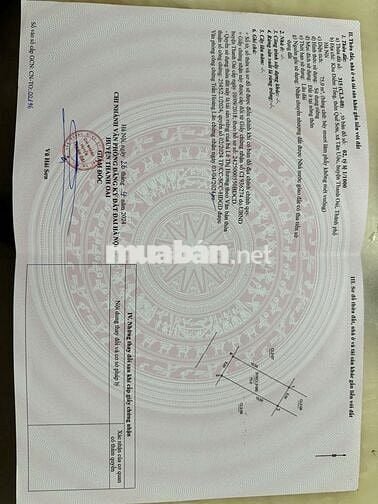 Bán đất đấu giá Điếm Tổng- Tân Ước- Thanh Oai , giáp khu D  Olympic