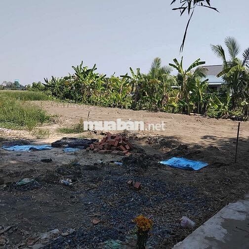 BÁN ĐẤT CHO DÂN ĐẦU TƯ SINH LỜI