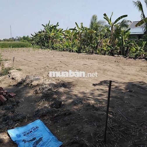 BÁN ĐẤT CHO DÂN ĐẦU TƯ SINH LỜI